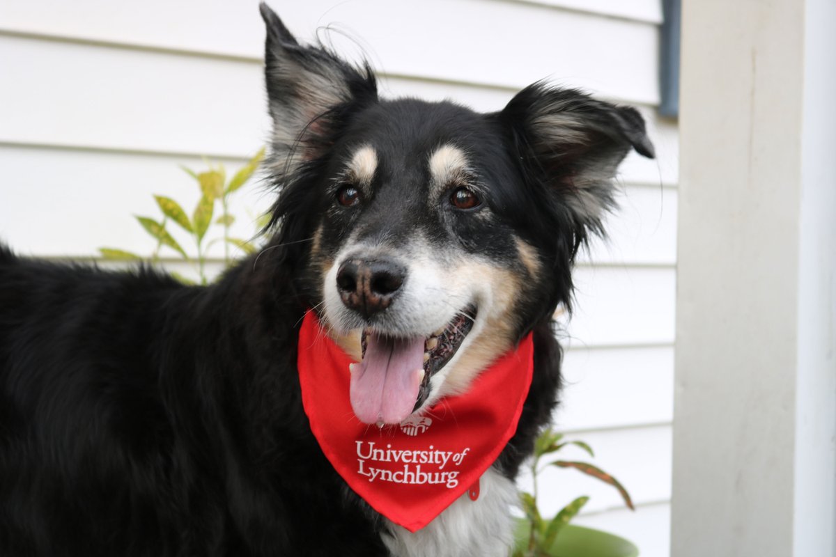 Grab some Lynchburg gear, your furry friends, or a loved one or two and throw up some pics with the hashtags #LynchburgGiveDay #LynchburgSwag #LynchburgPets #LilHornets #LynchburgLove or #LynchburgLegacy. Contest runs through Homecoming weekend.
ow.ly/K3iS50BUFO0