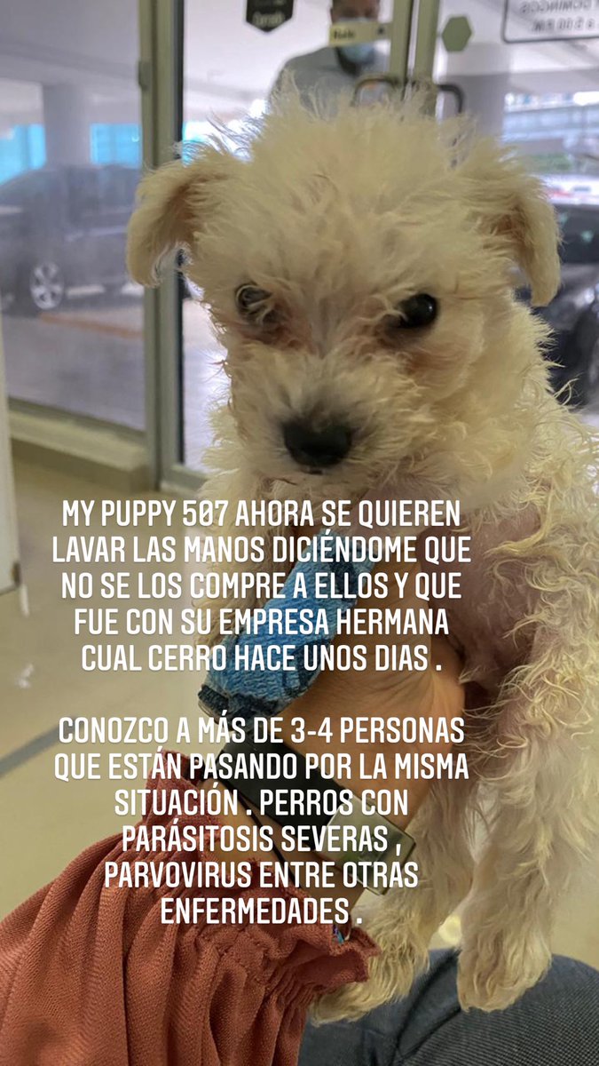 juanleeduran's tweet photo. MYPUPPY507 , cuenta en ig cual vende perros enfermos y lo saben . Ya somos más de 5 personas cuales estamos pasando por la misma situación . ayúdenme a denunciar la cuenta para que no sigan vendiendo perros enfermos y lastimando familias . https://t.co/udY02M7t88