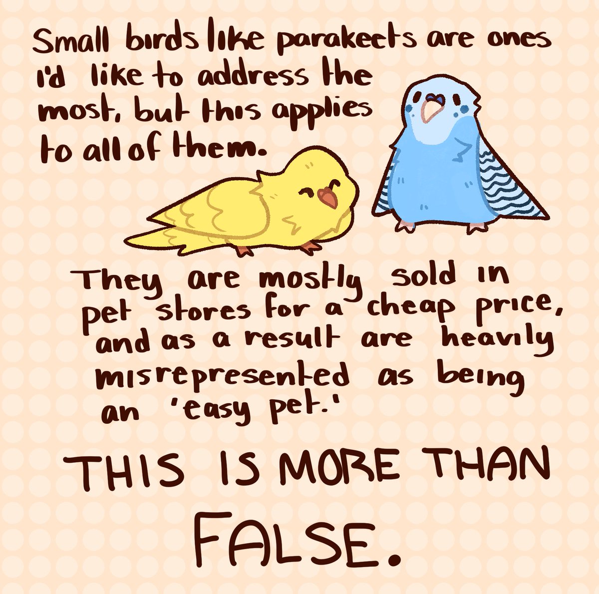 PSA on parrots! Hope this is useful :) 1/4