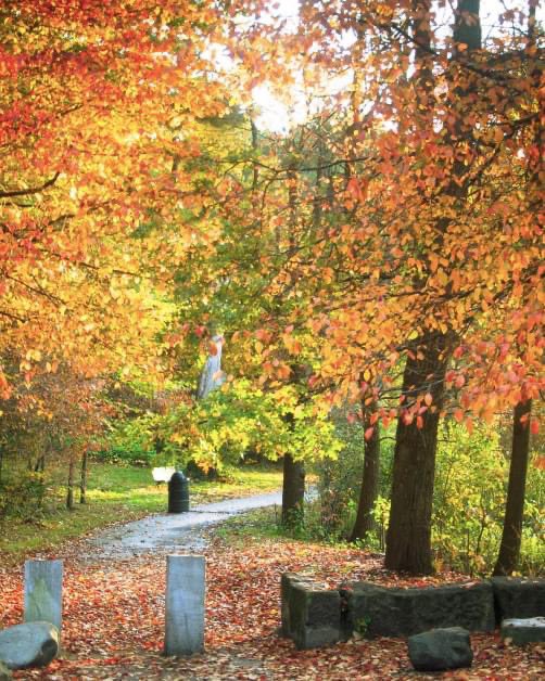 BostonParksDept's tweet photo. 🍁 🍂 🍁  You don't need to "leaf" the city for breathtaking fall foliage! We've rounded up a list of the best Boston Parks properties for leaf peeping. #DontLeafBoston🍁 #FallInBoston #BostonSeasons

https://t.co/vIE60EImOu https://t.co/yCYruQILTl