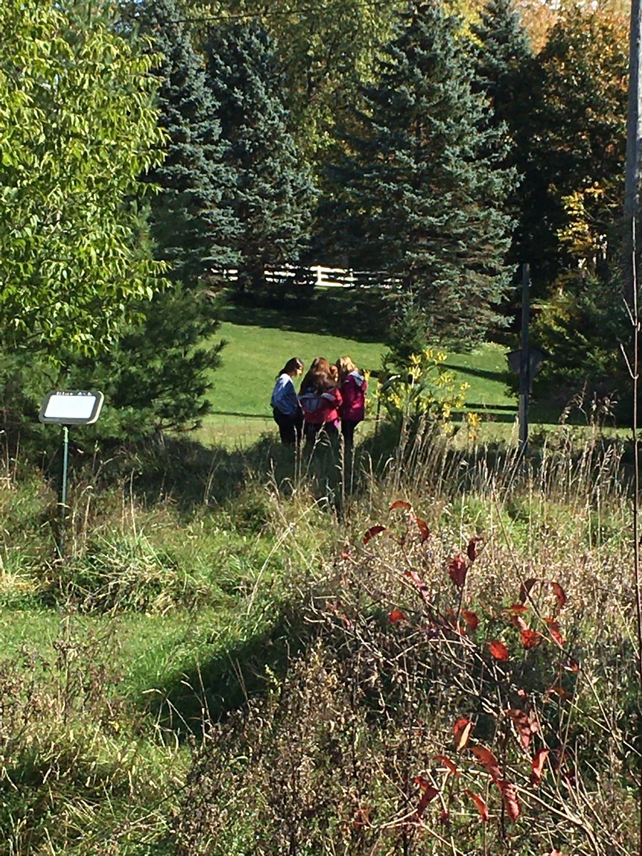 MigchelsMandy's tweet photo. A tree find walk around at demonstration forest in #mitchell with the #PPL1O @MitchellDHS https://t.co/YJRUFQVvzo