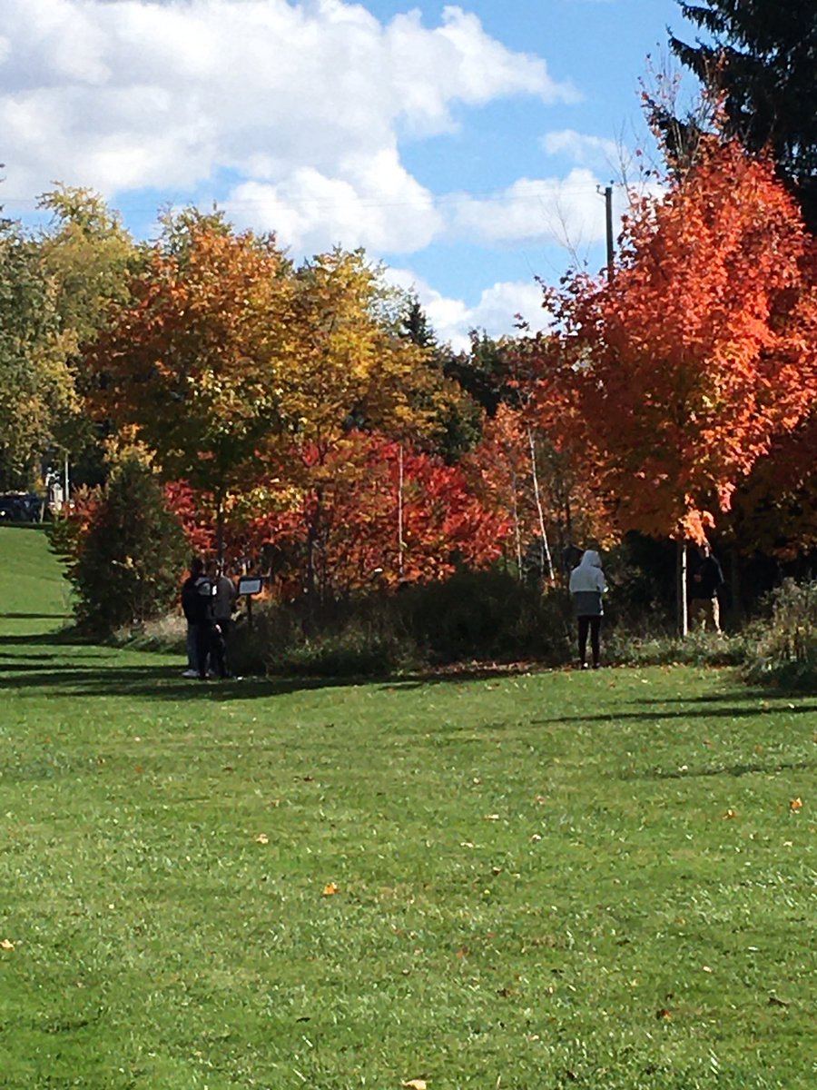 MigchelsMandy's tweet photo. A tree find walk around at demonstration forest in #mitchell with the #PPL1O @MitchellDHS https://t.co/YJRUFQVvzo