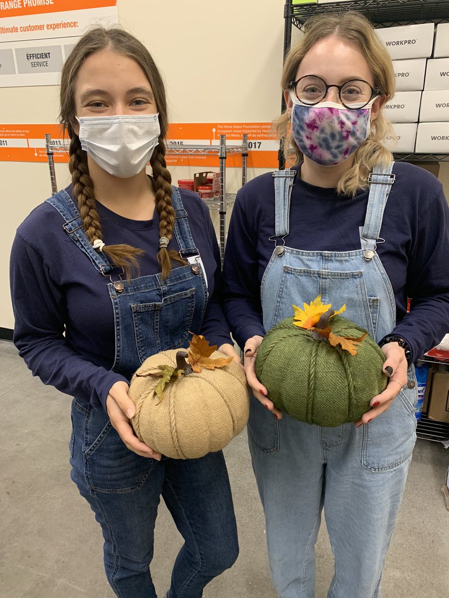 Home Depot twin day ft. Sam and me