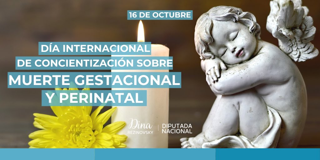 Dina Rezinovsky tweet media