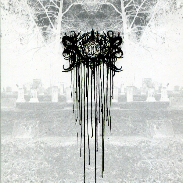 knight exemplar sv tweet media