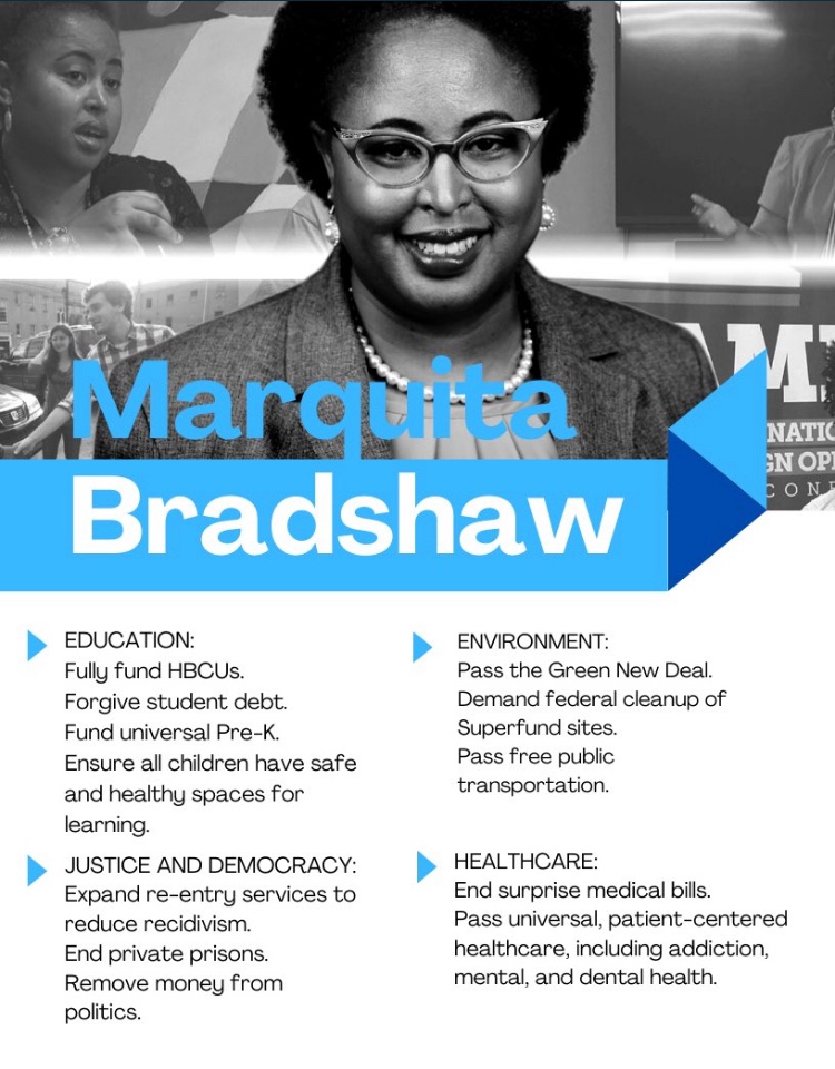 MountainLeftist's tweet photo. @Bradshaw2020 vs Bill Hagerty is a choice between a progressive berniecrat or a trump sycophant

#BradshawFightsForUs https://t.co/Bys7NhGK2D