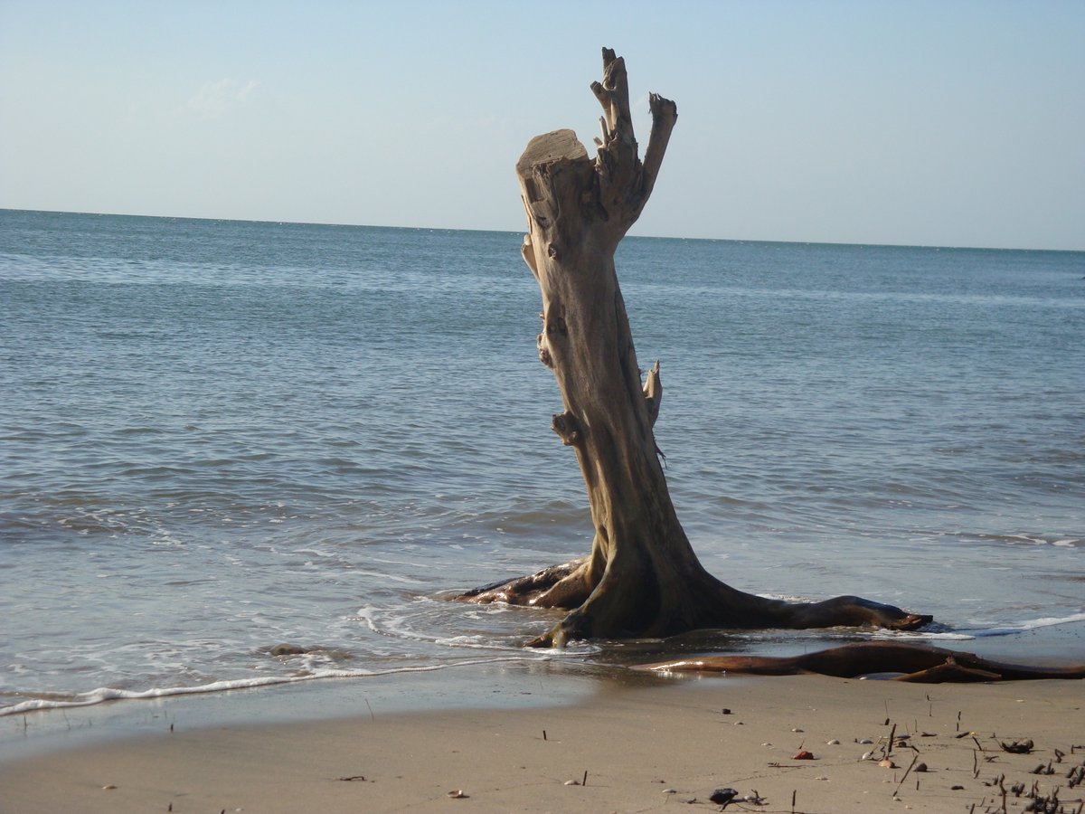 [8] Along the western coast of  #Trinidad, there are also a number of  #beaches that are used by locals for recreational activities. An  #oilspill in the  #gulfofparia will therefore pose a threat to the quality of these  #coastal  #environments.
