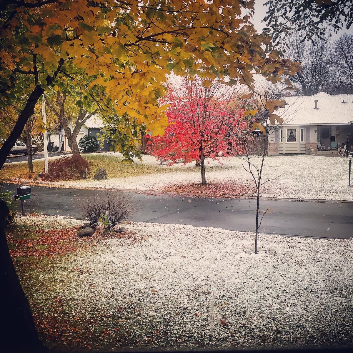Perry101010's tweet photo. @ian_leonard @fox9weather  “Today’s weather: Fall on the left, winter on the right” #WelcomeToMinnesota #IsThisNarnia? Photo credit GH Yang https://t.co/DakkZgHBod