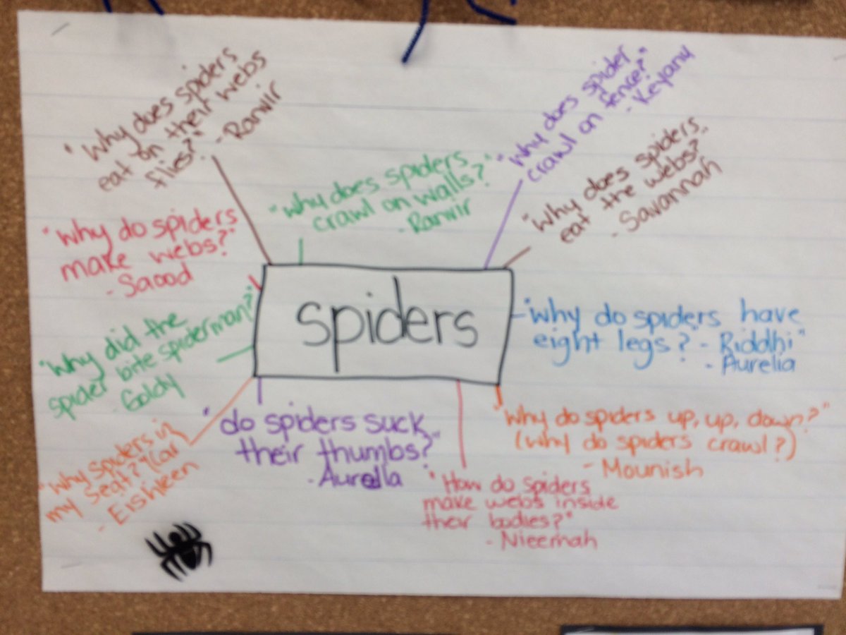 MrsLCinelli's tweet photo. The past month we have been inquiring about spiders in K2. @EskerLakePS @RaineAdams1 https://t.co/WpLGQZNMqk