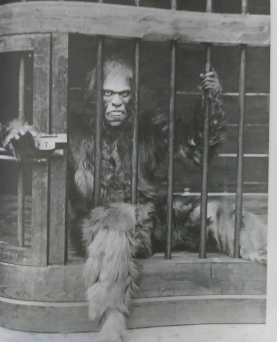 1926. GORIRA (Gorilla). A film that was presciently made just for me and a handful of my friends. A Japanese scholar learns yojutsu (“black magic”) from an ancient Dutch grimoire & transforms himself into a human-ape hybrid to massacre those who have wronged him. 31/