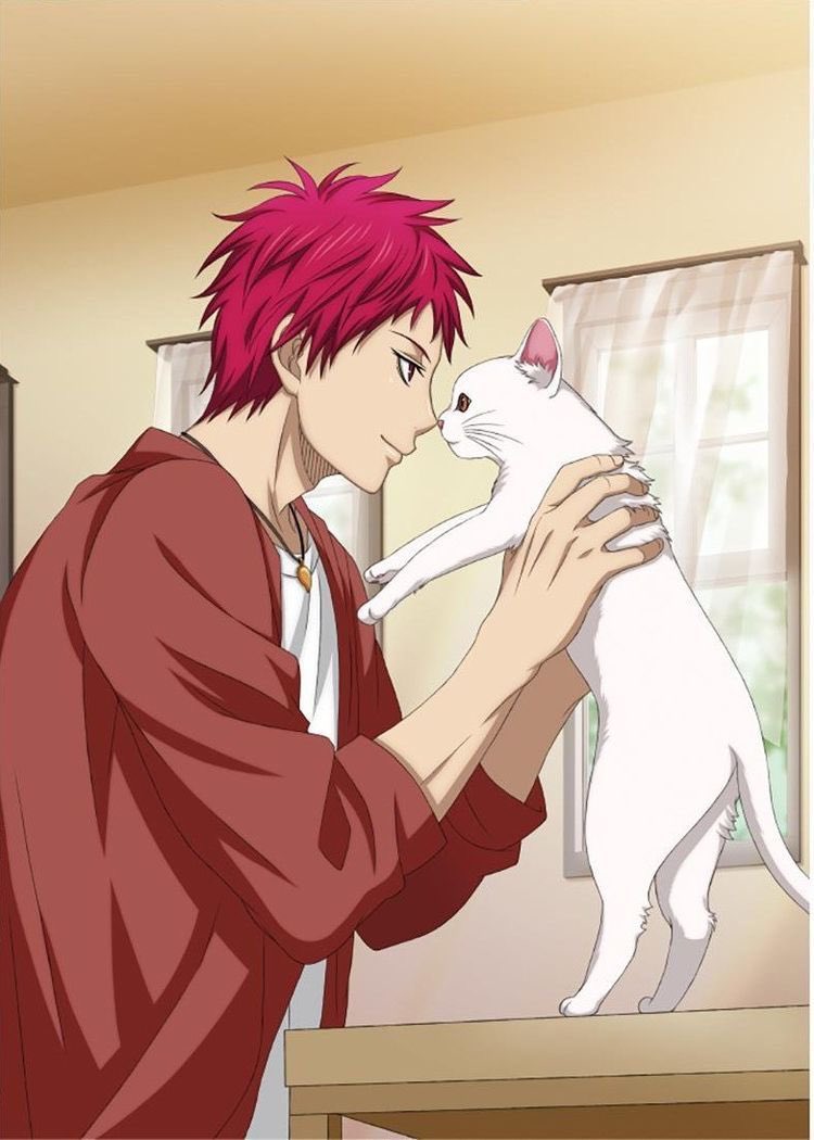 아카시 고영짤.., image size:750x1050