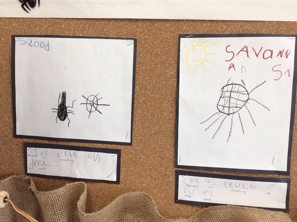 MrsLCinelli's tweet photo. Student artwork about spiders @EskerLakePS #inquirybasedlearning #kindergartenfun https://t.co/tKnP32eGki