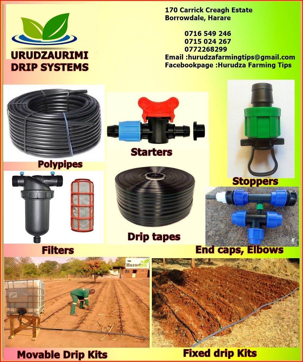 HurudzaT's tweet photo. Urudzaurimi Drip Irrigation Kits https://t.co/0anR1TTr5n
