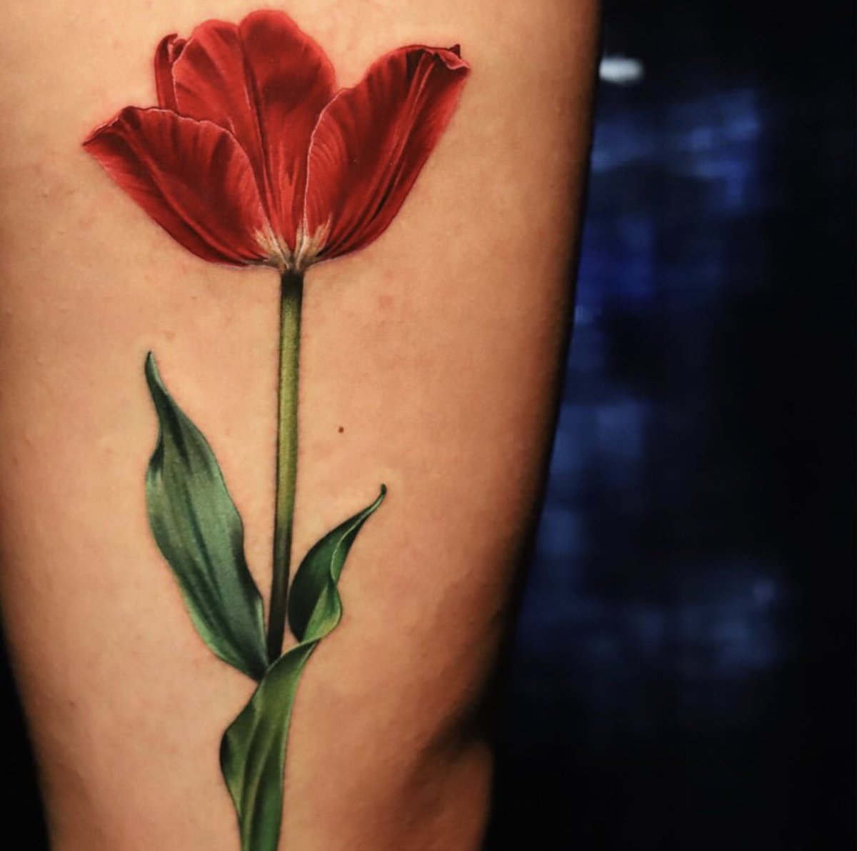 An Elegant Tulip bold and strong... tattoosbydan@outlook.com