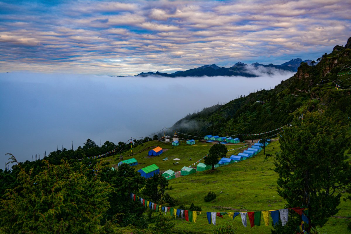 inside_bhutan's tweet photo. Go to the place, where you find peace💚
#bumdra #paro #bhutan https://t.co/XGwLvLwQff