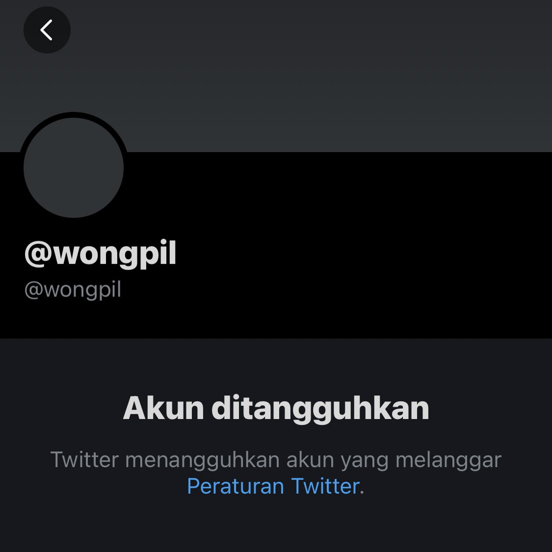 Hello everyone. I'm here to announce that this was wongpil, wonpuil, wonpinl, or you might know me as wonpilz before. I decided to change my faceclaim and move here. Sadly I kinda forgot who I have to follow again, can you help me to spread this news by RT-ing this tweet?