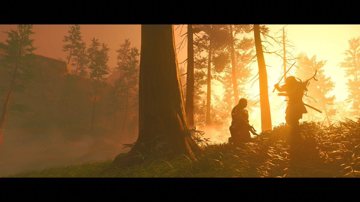 LordWilson's tweet photo. #GhostOfTsushima #HonorTheWoods https://t.co/ehvjlSCTgm