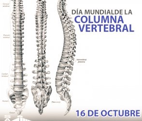 Inpsasel_vzla's tweet photo. #16Oct Día Mundial de la Columna Vertebral, objetivo dar a conocer a la población mundial la importancia en el bienestar general de nuestro organismo, ya que sirve de soporte para el resto de los órganos del cuerpo y debe estar en perfectas condiciones 
@Mippcivzla
@geovannireuma https://t.co/AAQIu9RGA0
