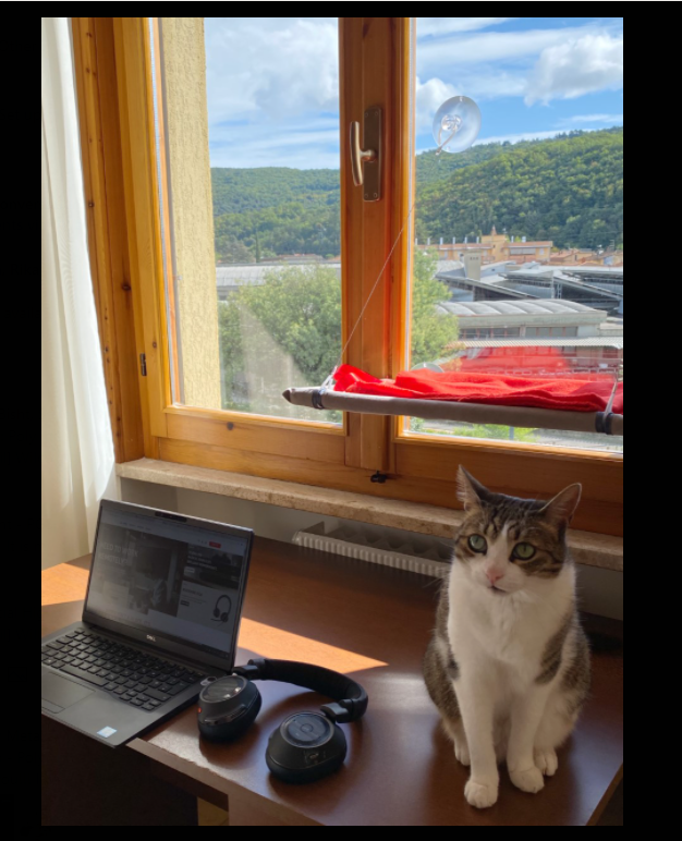 PolyCompanyNWE's tweet photo. When #WFH, pets like to stay close for good company, but they can also be the source of unwanted noise during calls. The #Voyager8200 with dual-mode #ANC cuts distractions while boom-free dual-paired microphones keep the focus on your voice 👉https://t.co/mXbtmoif0I #LifeAtPolyCo https://t.co/l1jp5ENm2L
