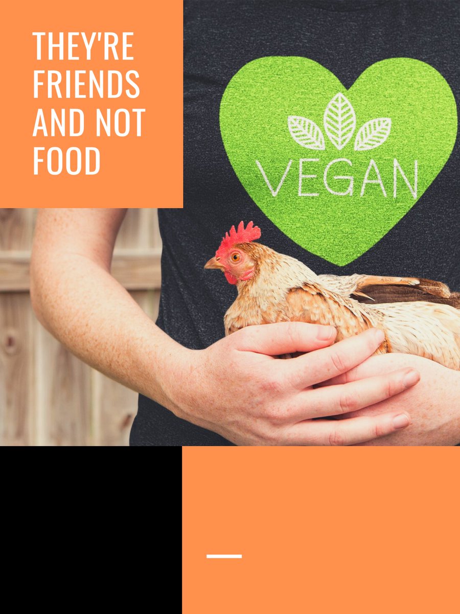 GreenPandaWear's tweet photo. @momof4vegankids @Honeybeeburger #vegan https://t.co/mvP44xD5cA