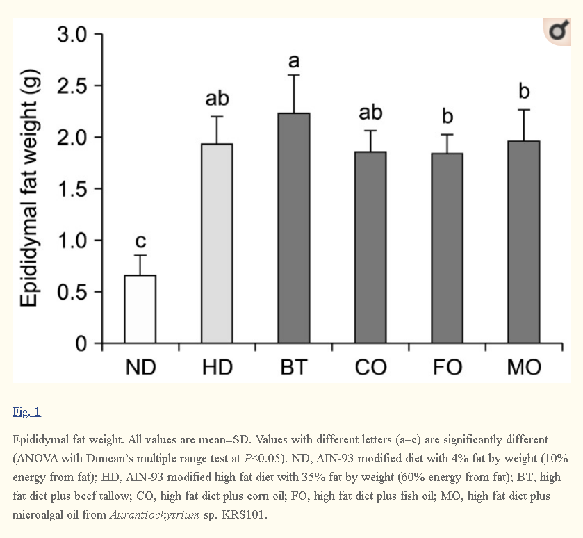 2015Mice fed the beef tallow (BT) diet gained more weight and body fat than the mice eating the corn oil (CO) diet.(The other groups have microalgal oil supplements) https://www.ncbi.nlm.nih.gov/pmc/articles/PMC4700911/