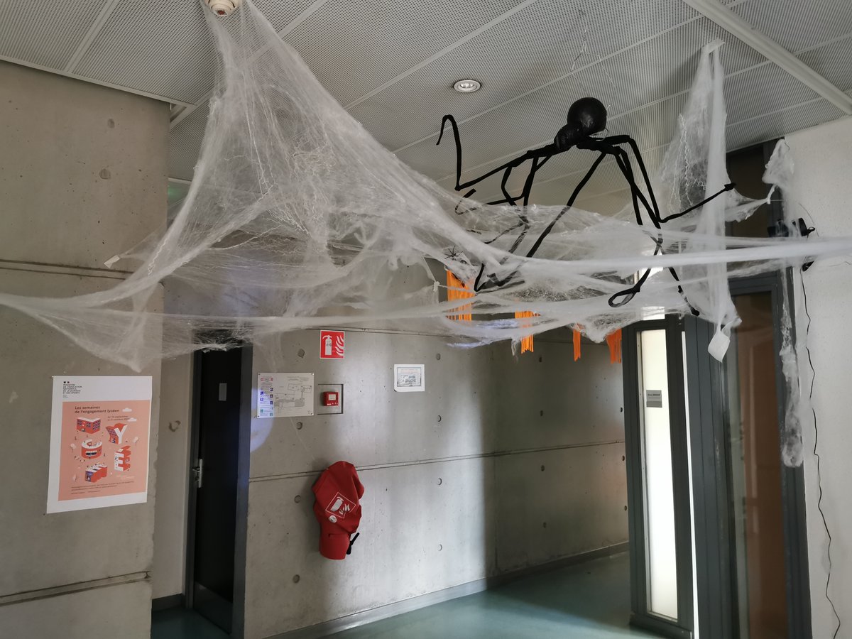 Lycée La Tournelle tweet media