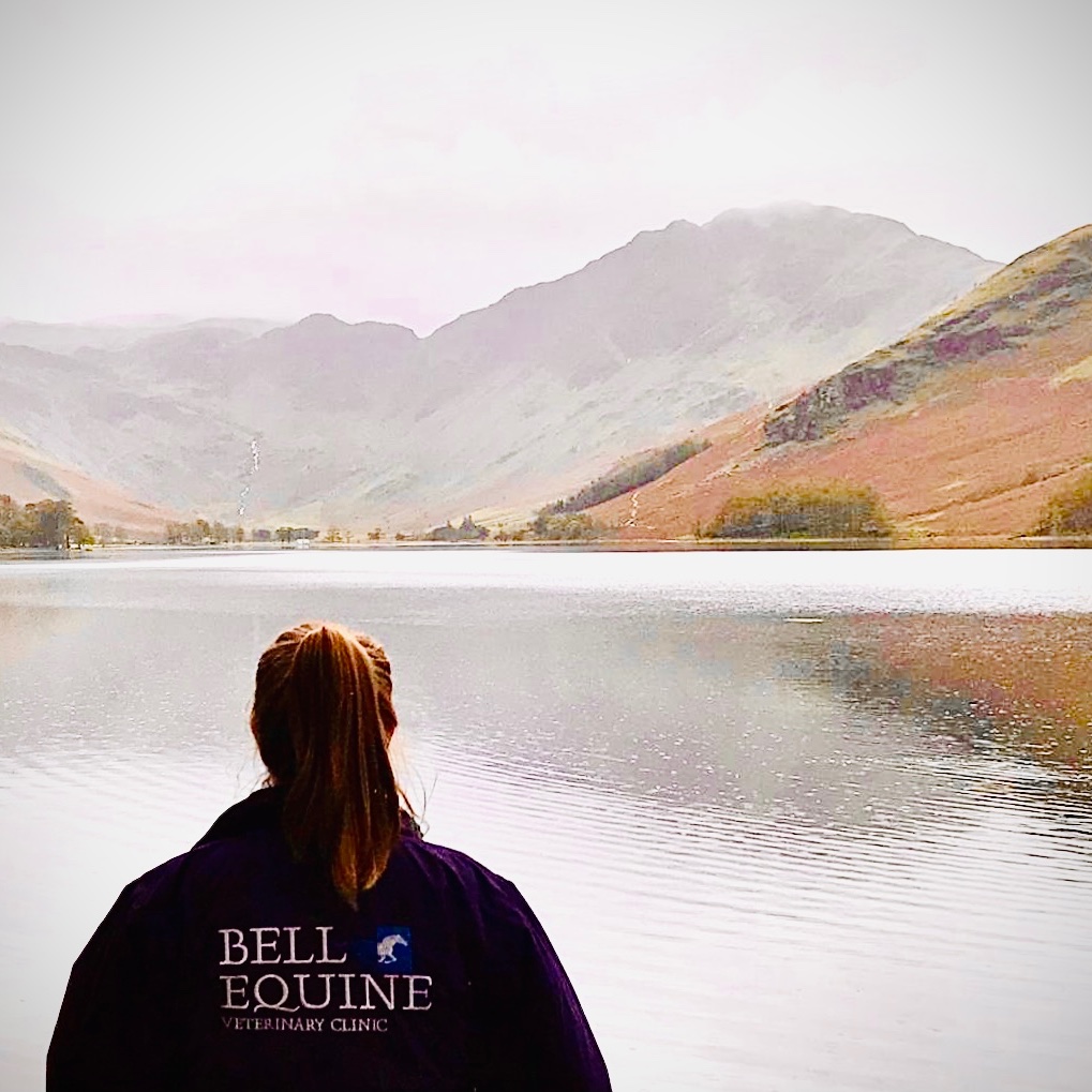 1 in 4  adults in UK suffer some deterioration in mental health within their lifetime. Vets are sadly over represented within the stats. Our whole team at Bell have rallied around  during this tricky time...2020 has been hard! Be kind and staysafe! #mentalhealthawareness