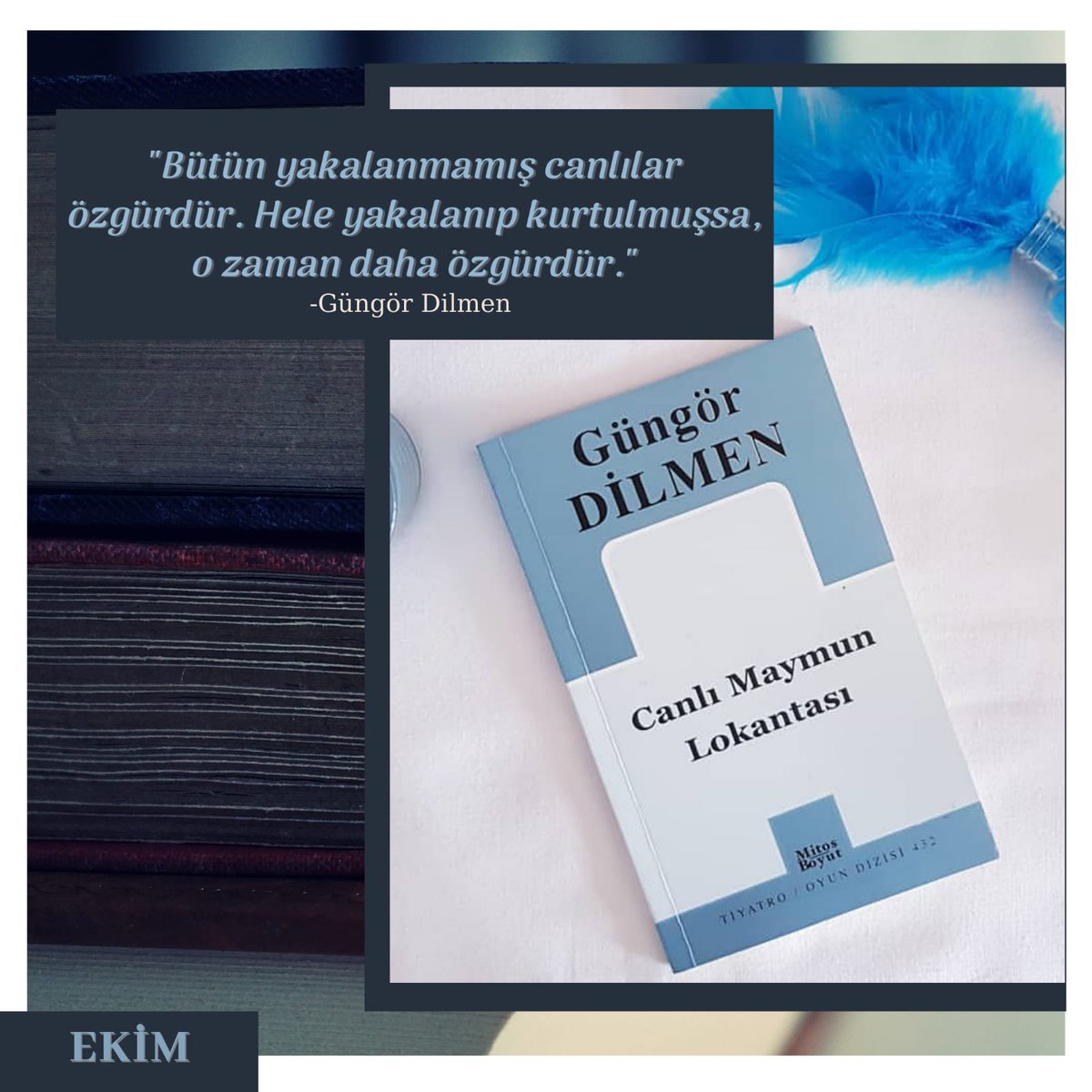 Kulübümüzün Okuma Komisyonu her ay kitap okuyor! Kasım'ın ikinci haftası incelenecek kitabımız Güngör Dilmen'in Canlı Maymun Lokantası📚 Kulübümüze katılmak ve etkinliklerimizde yer almak için DM'den iletişime geçebilirsiniz ✉