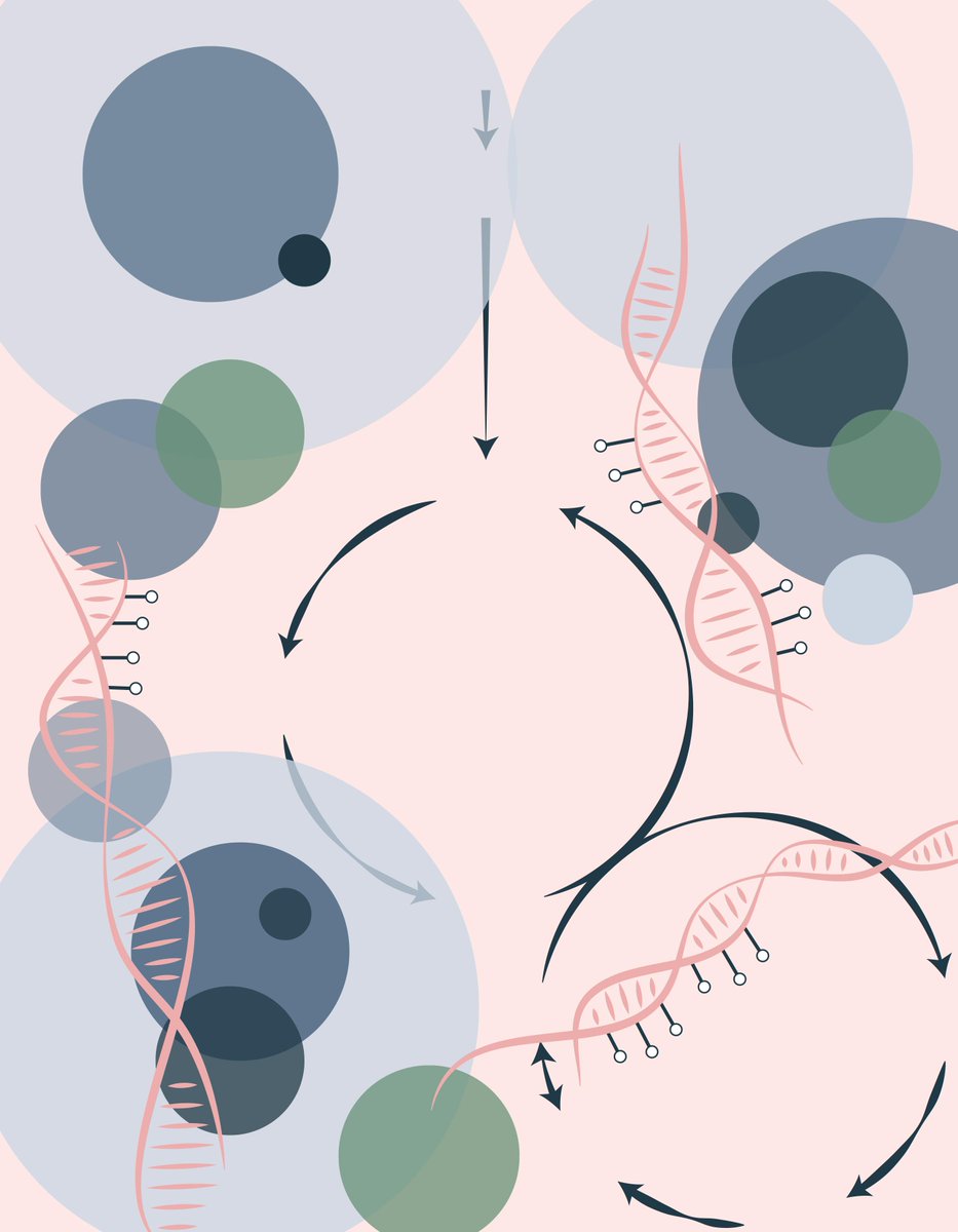CD_AACR's tweet photo. Day 2 of #AACRepmet20 kicks off with a presentation by Alexandre Puissant.
Read his article: The folate cycle enzyme MTHFR is a critical regulator of cell response to #MYC-targeting therapies.
@LabPuissant #Metabolism
https://t.co/r9fWMimUlm https://t.co/PzR2kb5yYD