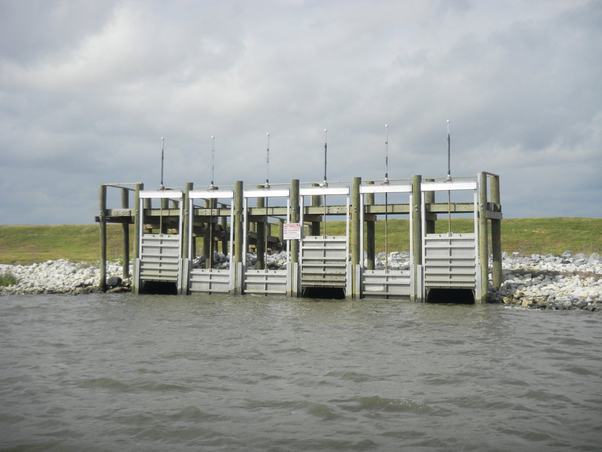 guertin's tweet image. For this year's @ESWNtweets @science_a_thon, I'm documenting how I created my latest science story in a quilt - a story of #CoastalOptimism for southern Louisiana. Follow my #DayOfScience to learn about the benefits of an "open levee" and how the quilt comes together!