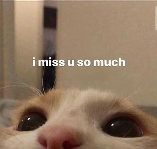Clarissaamelia_'s tweet photo. Jogja line ❤🍒
#ASK_SEVENTEEN https://t.co/aH4Get6v49