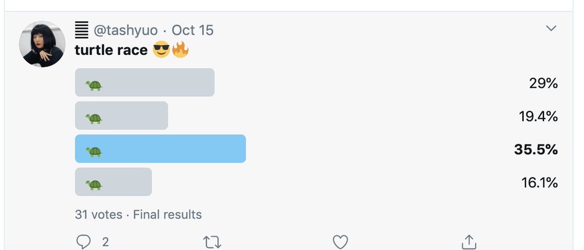 Third turtle always wins. The truth is out there.