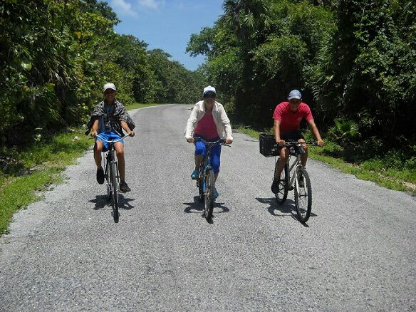 Movimiento Cubano De Excursionismo tweet media