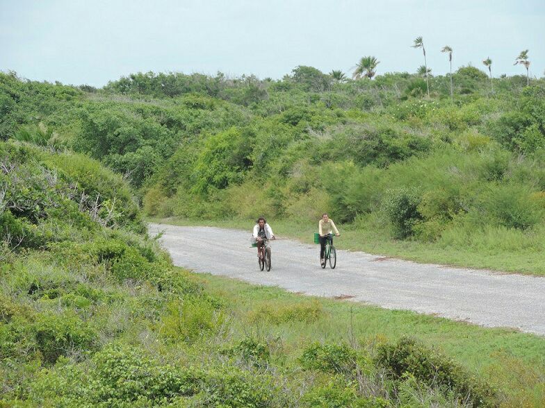 Movimiento Cubano De Excursionismo tweet media