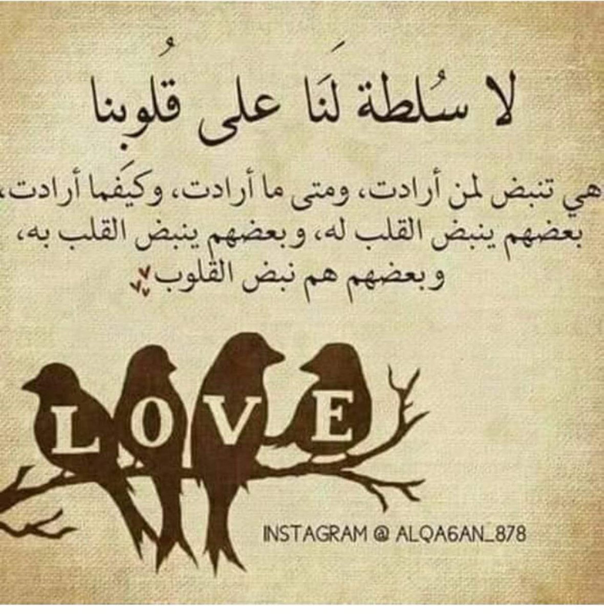 عيسى الحربي (@eissa_h_s_) on Twitter photo 
