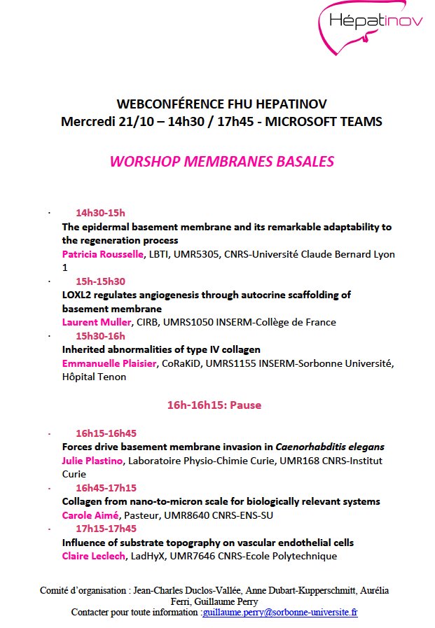 Centre Hépato-Biliaire, Hôpital Paul Brousse (@chbpaulbrousse) on Twitter photo Make sure to be part of the Workshop Online on basement membranes the 21th of october 2020, organized by @GP_BiomedEng ,Pr DUCLOS-VALLÉE and Anne DUBART-KUPPERSCHMITT
ℹ️ centre-hepato-biliaire.org/actualites/web…
<a href="/CNRSLbti/">LBTI</a>
<a href="/cdf1530/">Collège de France</a>
@CoRaKiD_Inserm
<a href="/institut_curie/">Institut Curie</a>
<a href="/Chimie__ENS/">Chimie ENS</a>
<a href="/Polytechnique/">École polytechnique</a> Make sure to be part of the Workshop Online on basement membranes the 21th of october 2020, organized by @GP_BiomedEng ,Pr DUCLOS-VALLÉE and Anne DUBART-KUPPERSCHMITT
ℹ️ centre-hepato-biliaire.org/actualites/web…
<a href="/CNRSLbti/">LBTI</a>
<a href="/cdf1530/">Collège de France</a>
@CoRaKiD_Inserm
<a href="/institut_curie/">Institut Curie</a>
<a href="/Chimie__ENS/">Chimie ENS</a>
<a href="/Polytechnique/">École polytechnique</a>