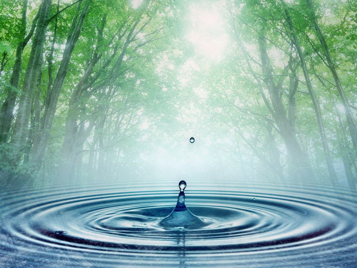 Вода источник жизни
