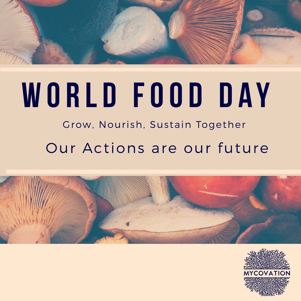 Today being the #WorldFoodDay, #Mycovation pledges a commitment to produce #myco-based #superfoods that are #nutritious &amp; #sustainable promoting worldwide awareness and action for those who suffer from malnutrition and for the need to ensure healthy diets for all. 
#FutureofFood