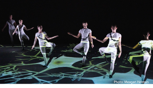 ArtistsinResid4's tweet image. Choreographer, dancer, and engineer Holly Stone translates hardcore science into artistic outcomes. Watch our interview with her on artistsinresidence.nl