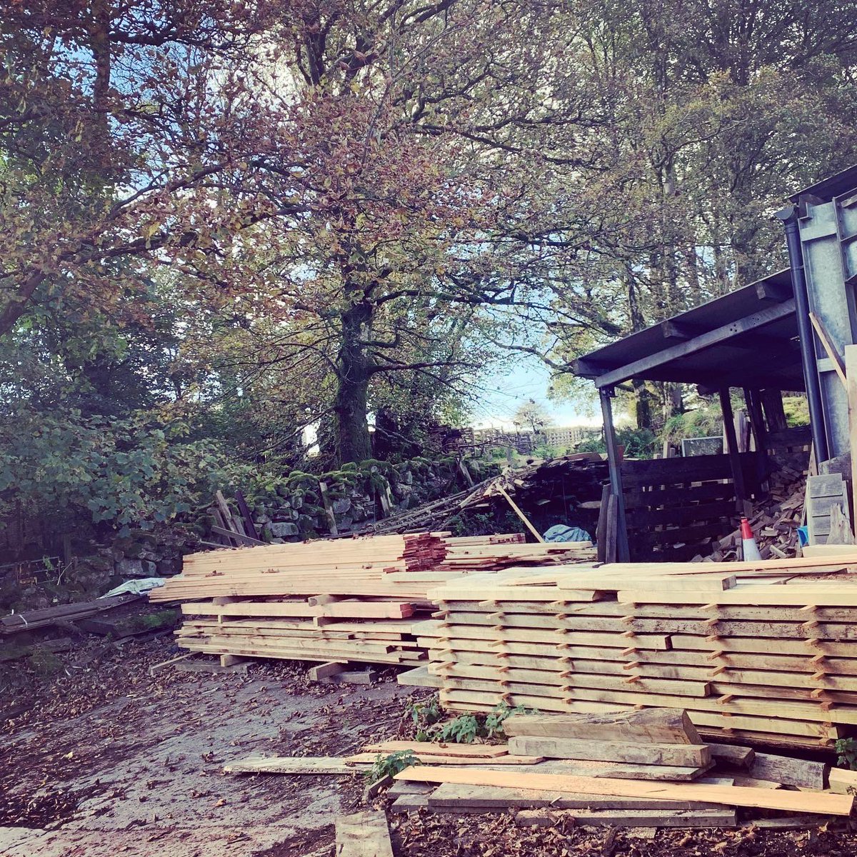 BissellClaire's tweet image. On the hunt for some English oak at Anton Coaker’s sawmill. A fab place, once you’ve found it that is! #uktimber #woodforgood #dartmoor #SustainableConstruction
