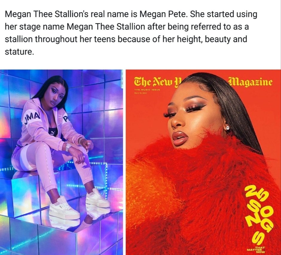Настоящее имя Megan Thee Stallion — Меган Пит (Megan Pete). Она начала использовать свое сценическое имя Megan Thee Stallion после того, как в подростковом возрасте ее называли кобылицей из-за её роста, красоты и телосложения.