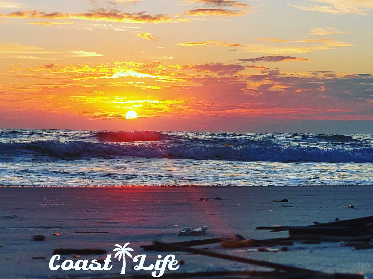 CoastLifeInc's tweet photo. 🏴‍☠️ 🌴 😎 🍹 🌊

Coast Life, its not a movement, its a lifestyle!

#CoastLife #CoastalLiving #CoastalVibes #Ocean #Beach #BeachLife #BeachVibes #IslandLife #IslandVibes #Island #Islands #SaltLife #Whales #Ocean #MarineLife #Sea #PlanetEarth #BluePlanet #WhaleWatching https://t.co/Ba19HWKIco