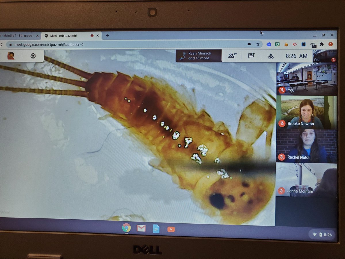 IntireJ's tweet photo. My teaching heart grew exponentially today when a student states "I like the energy in the call" about our virtual class.  Phenomenal guests from the @CBFedu @ChesapeakeBay Foundation helped my class to learn about ecosystems and our impact!  #BSSDProud #BSMSRocks #CBF https://t.co/TJlS9F7v7T