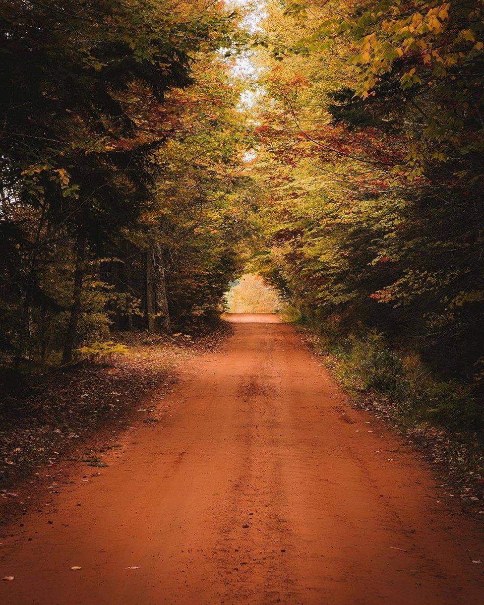 "I'm so glad I live in a world where there are Octobers." 🍂 - L. M. Montgomery, Anne of Green Gables #WeLovePEI

Photo by <a href="/atlnortheast/">A | NE</a>