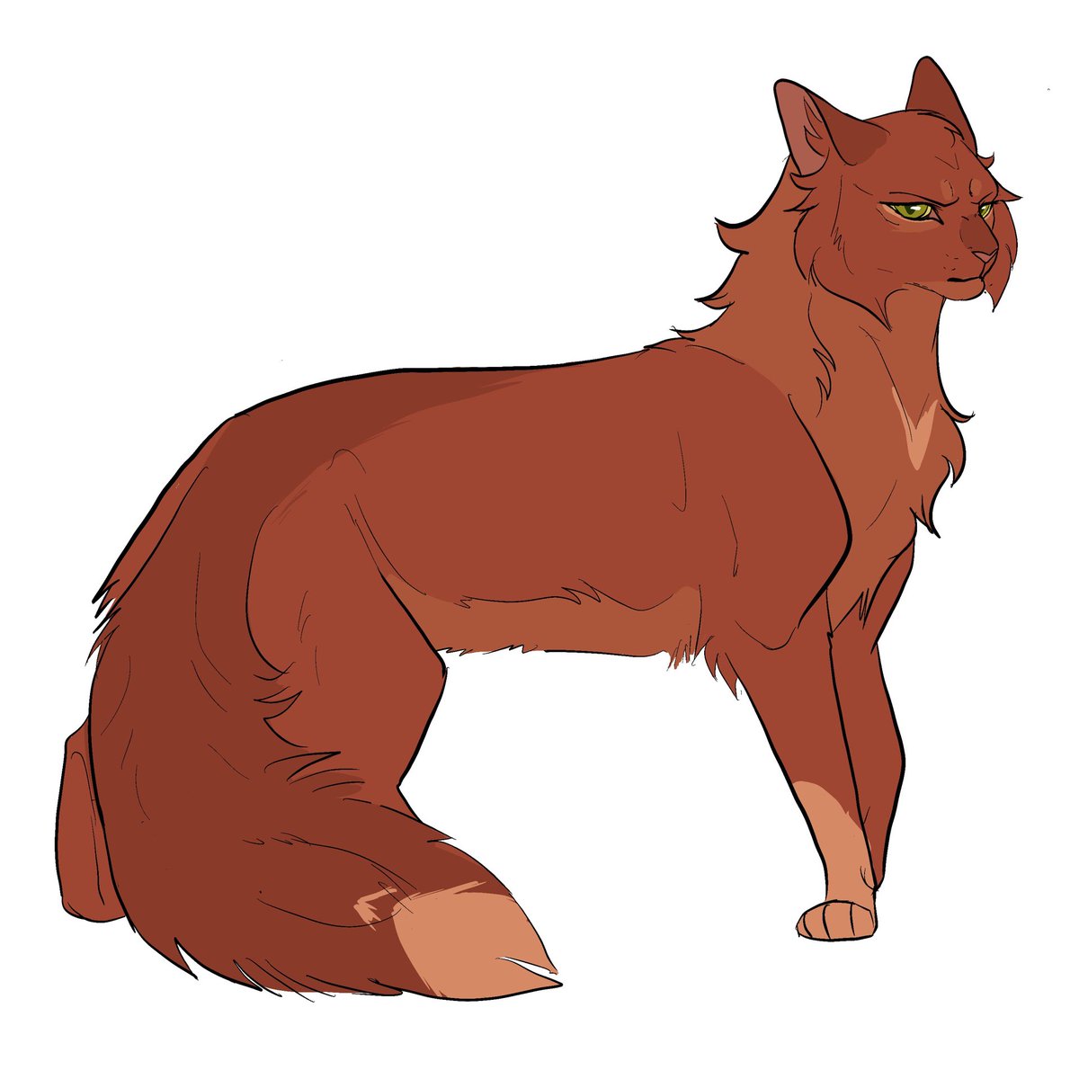 My squirrelflight design for an amv I’m working on that I was not going to show but since moonkiti decided to create such a masterpiece of work I can’t help myself. I won’t give more details of the amv though. You will have to wait a bit. #squirrelflight