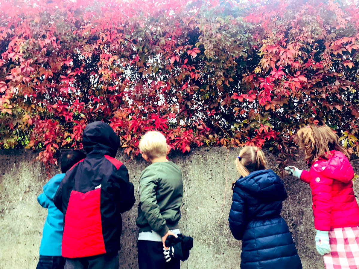 Ms. Lumiqued tweet media