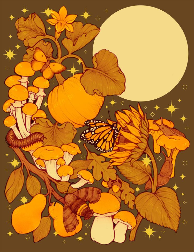 kevinjaystanton's tweet photo. Lianne Pflug (@loonpflug) is one of my favorite botanical illustrators - her work has a warm earthiness to it that I really admire! She's reopened her shop this week, and there's a lot of amazing work to check out!
#thecreativesgarden https://t.co/4BCDZiPDfa