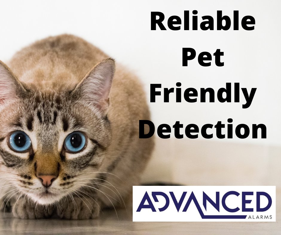 AdvancedAlarmUK's tweet image. Got pets but want a security system? Not using your existing alarm because you&apos;ve bought a cat or dog? 

Fear not, our range of Pet Friendly movement detectors are robust and effective ignoring your beloved pet, but catching the bad guys!

Get in touch

#WeProtect