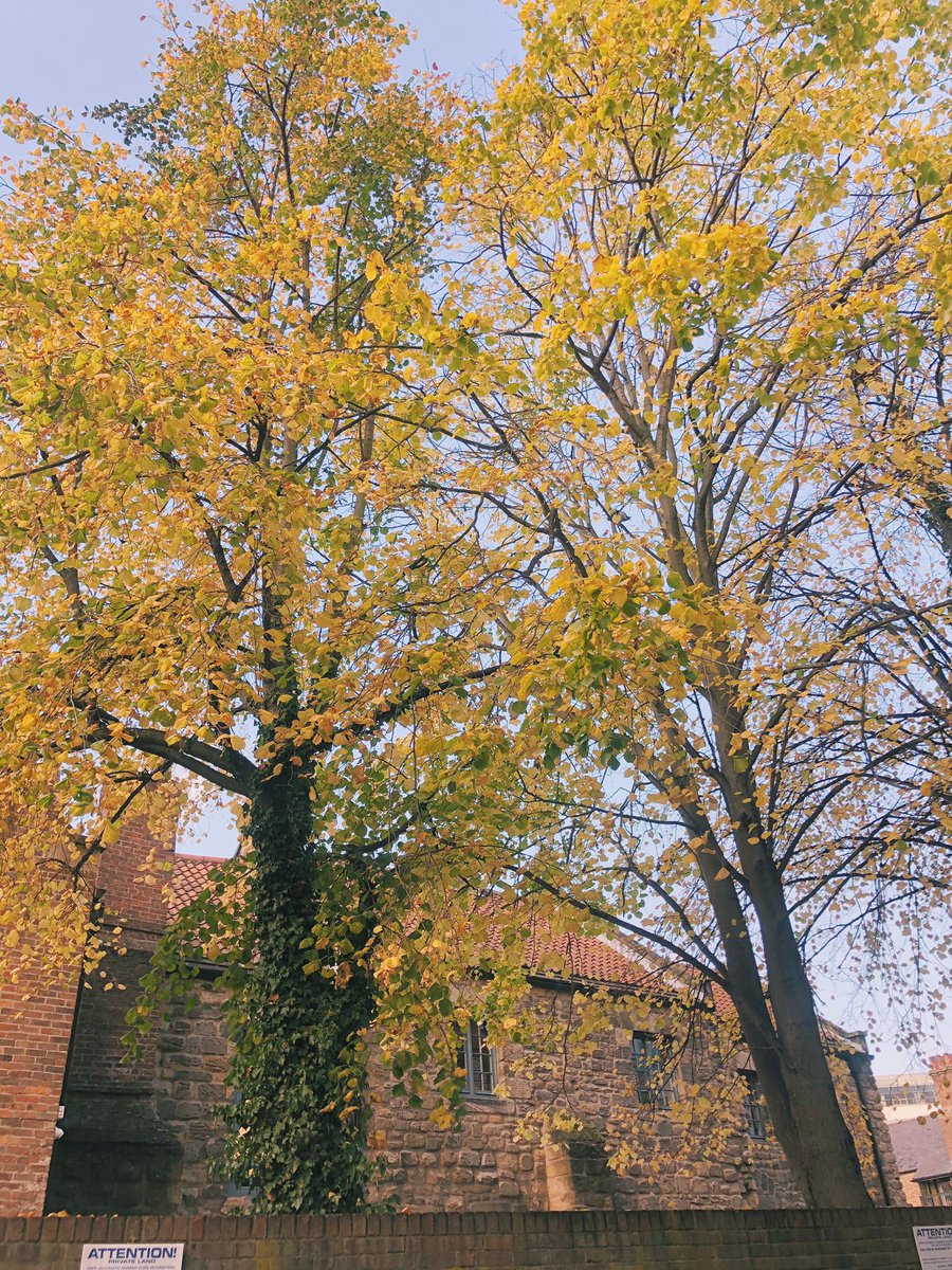 lmyorkshire's tweet photo. Celebrating a hard weeks work with an early finish and lunch at @blackfriarsrestaurant 🍂

Happy Friday everyone!🍁

#fridayfeeling #autumnleaves #blogger https://t.co/qYKp89wjfP