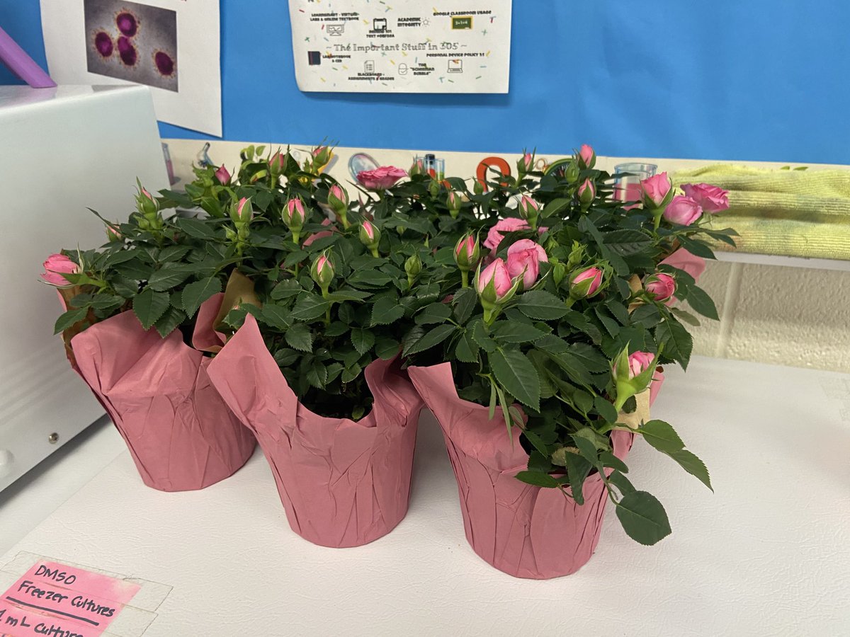 SchermsLHS's tweet photo. Transpiration Lab 🌱 💦 in #LHSAPbio @LHSTigrInCharge https://t.co/nbRApWwVgh